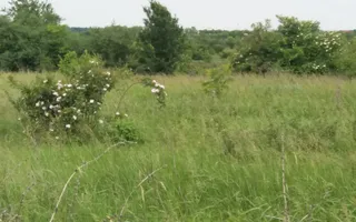 Teren Buftea cu iesire la lac - Poză 21