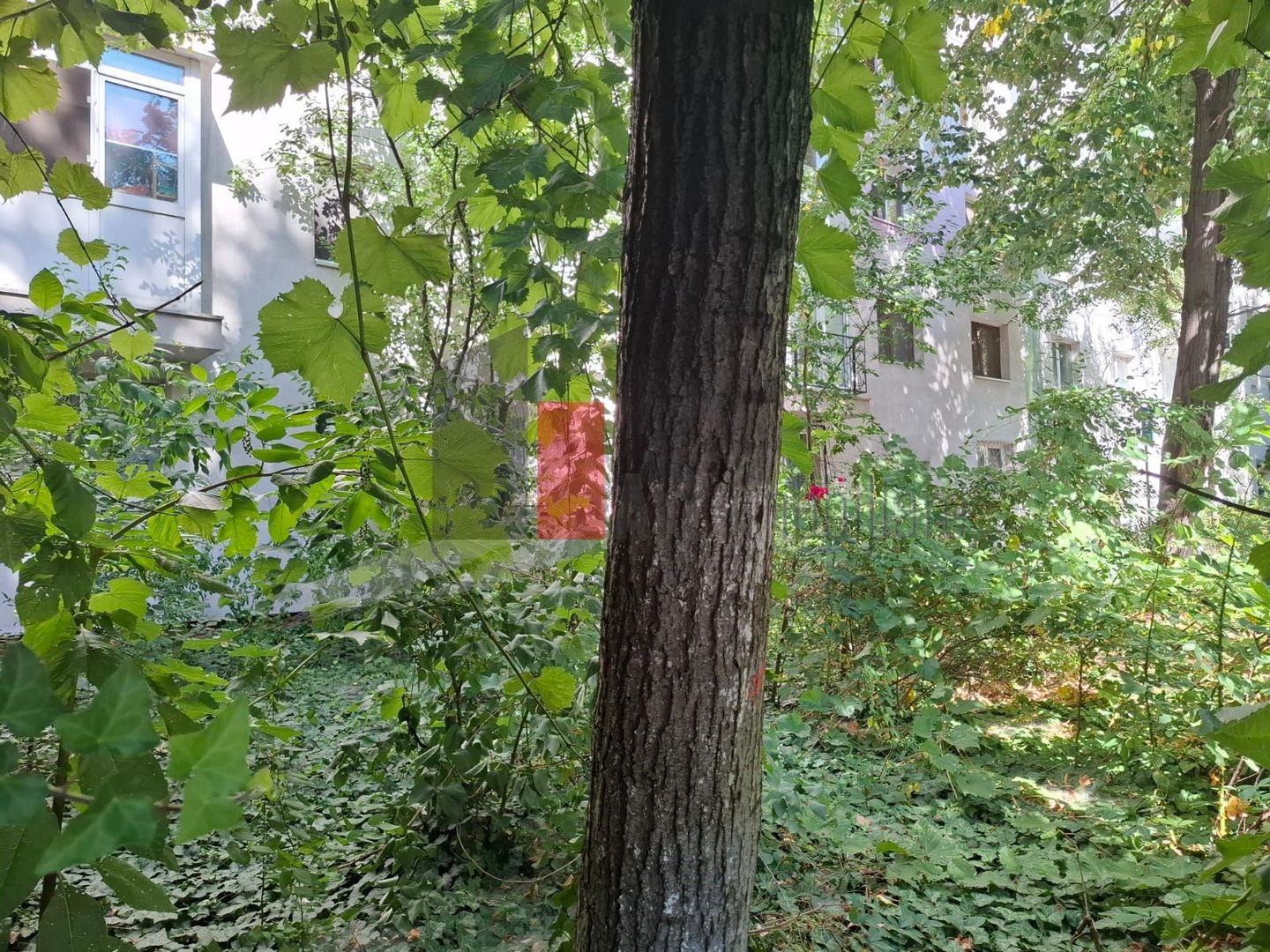 Apartament Piata Victoriei-Titulescu - Poză 10