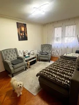 Apartament 4 camere Dacia cu centrala - Poză 3