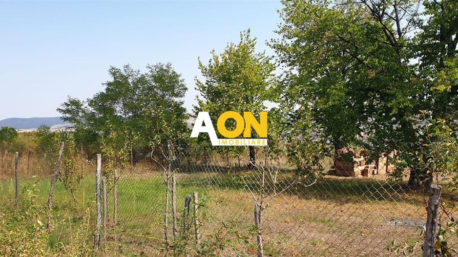 Teren intravilan de Vanzare,  Zona Platou-Cetate, 700MP - Poză 2