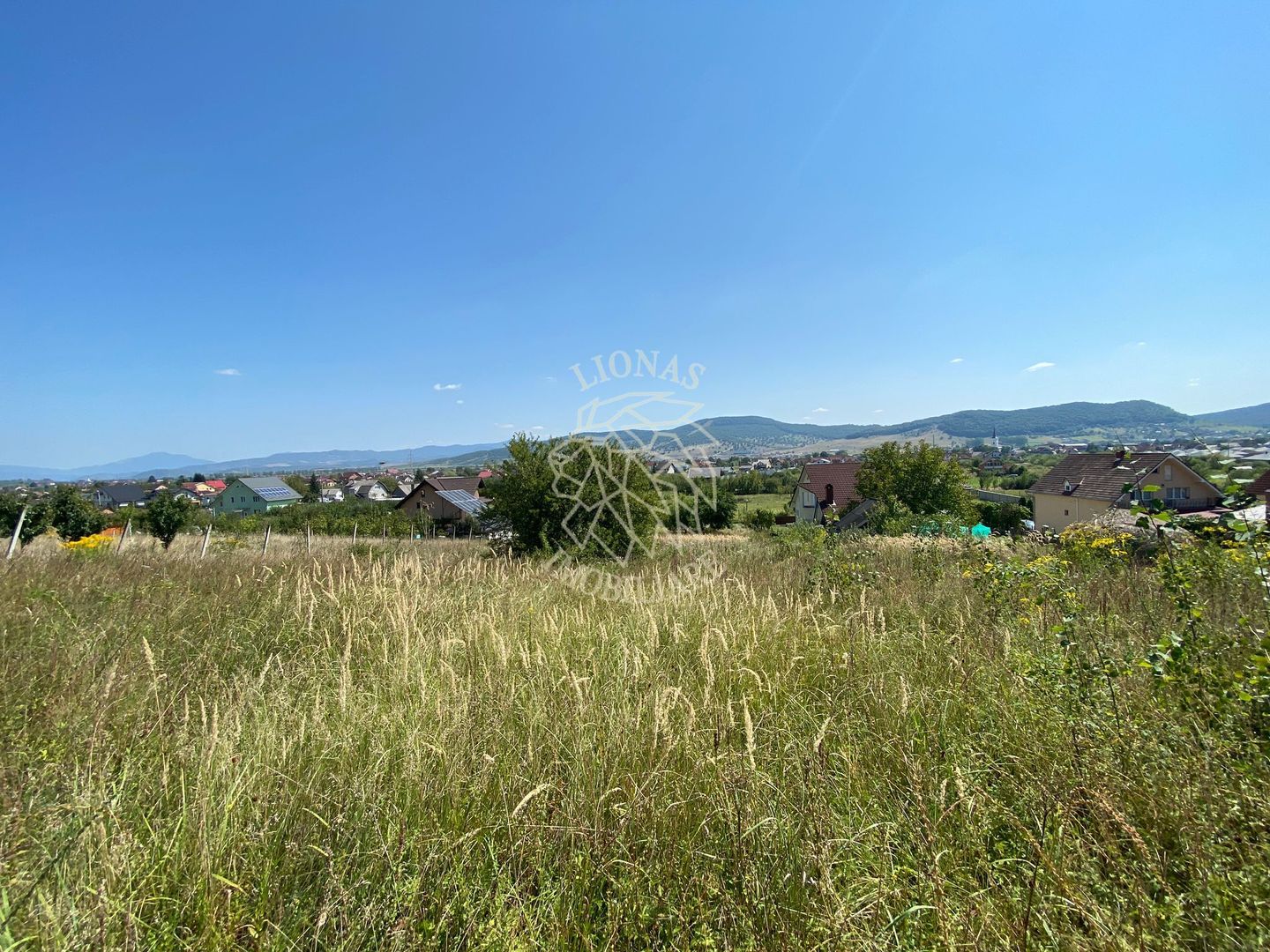 Teren intravilan 1300 mp-parcelabil-Viile cu Pomi-Unirea-Exclusiv - Poză 1