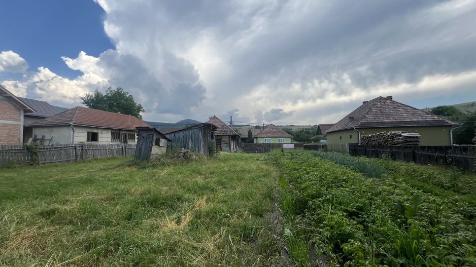 GRADINA BUNICII DE ODINIOARA,DE VANZARE -PAPAUTI,COVASNA. - Poză 5