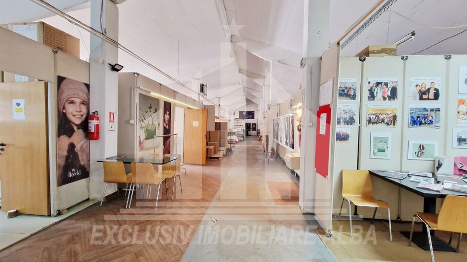 Spatiu industrial de inchiriat in Sebes - Poză 1