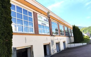 Inchiriere hala productie. - Poză 4