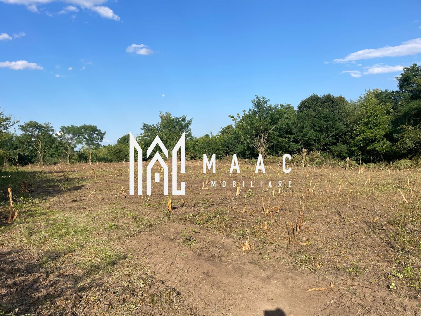 Oportunitate de Investiție Strategică | Teren Intravilan | Colonia Becas - Poză 4