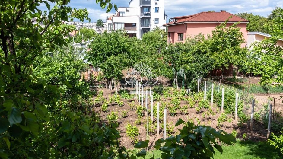 Casa P+1 + teren - posibilitate dezvoltare imobiliara I Drumul Taberei - Poză 5