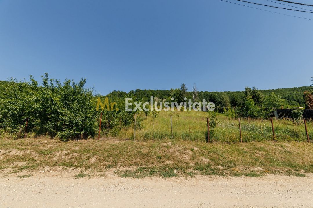 Teren intravilan Ștefănești Valea Mare Podgoria - Poză 4