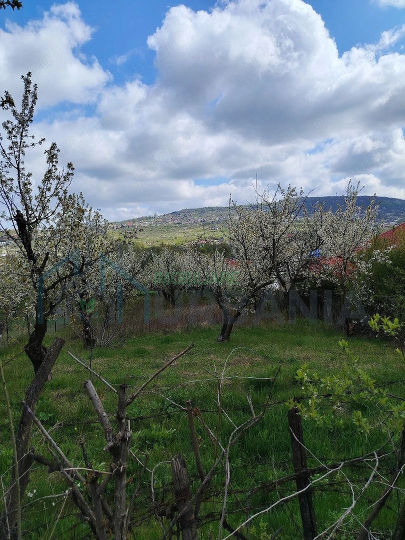 Teren intravilan de vanzare, comuna Barnova, judetul Iasi, 1150 mp, utilitati, destinatie constructie - Poză 2