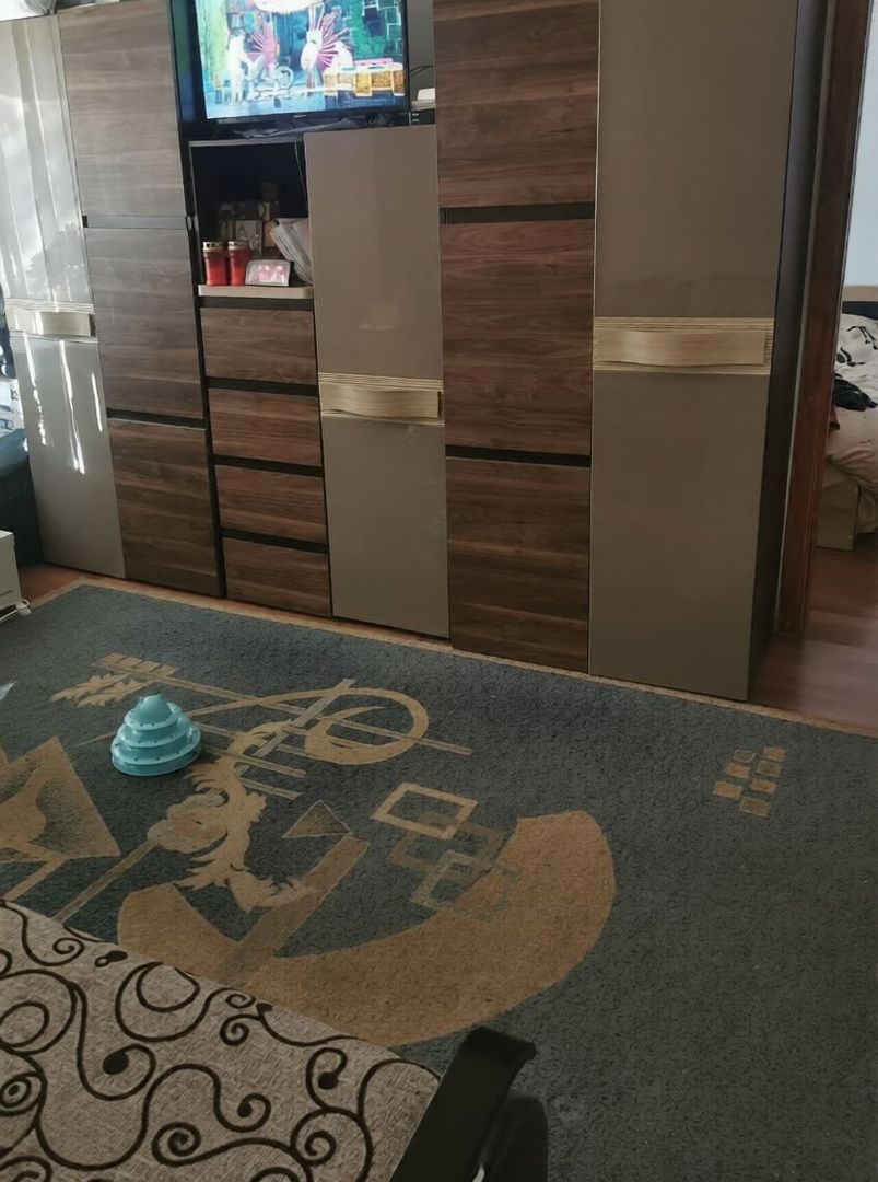 COMISION 0% | Apartament 2 camere | Parter | 39 mp | Zona Girocului - Poză 4