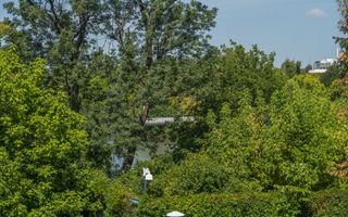 BRASADAS vinde ap 5 cam 2/5 2005 Primaverii. - Poză 14