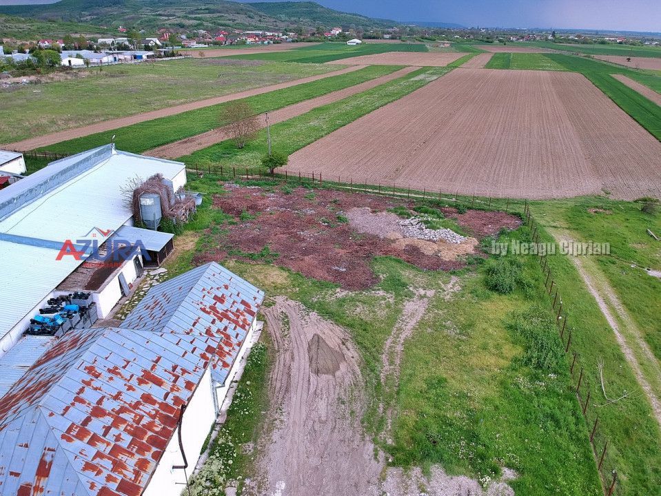 COMISION 0% - HALE Calinesti Arges - Poză 83