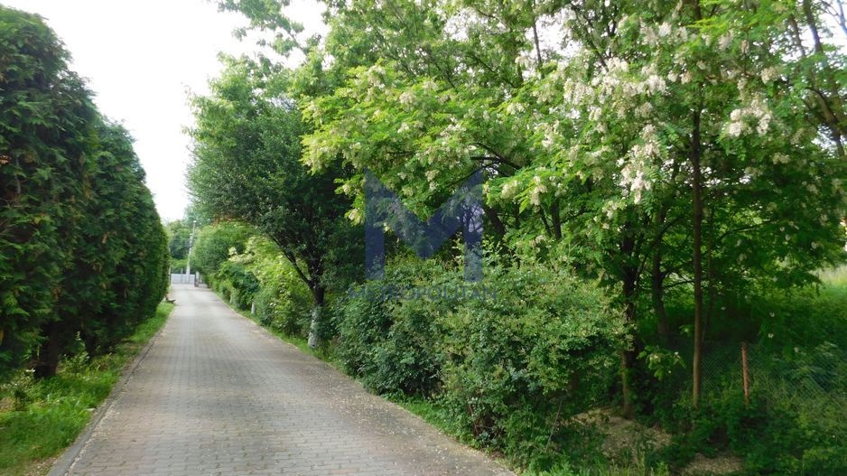 Vilă cu 1.350 mp teren în mijlocul orașului Grădina Botanică - Poză 21