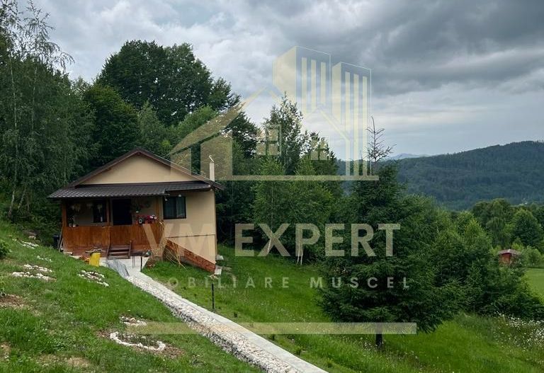 CASA 3 CAMERE, TEREN 3100 MP, ALBESTI DE MUSCEL, ARGES - Poză 6