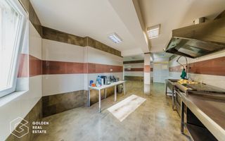 Proprietate pretabila pentru afacere, Cladova - Poză 23