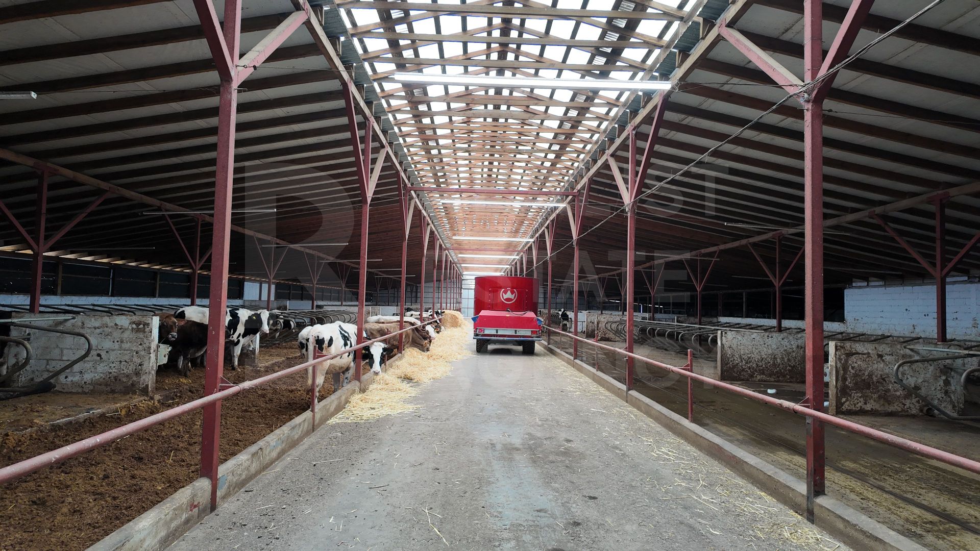 Vânzare, spațiu industrial, Raionul Glodeni, Satul Hîjdieni - Poză 5