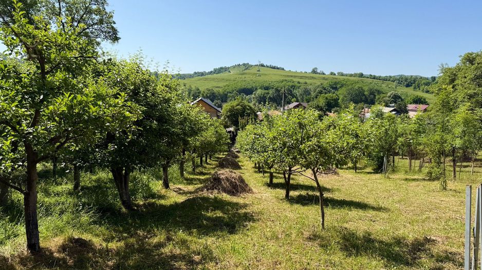 Vanzare casa cu 4 camere+anexe într-o zonă de poveste – Bezdead - Poză 17