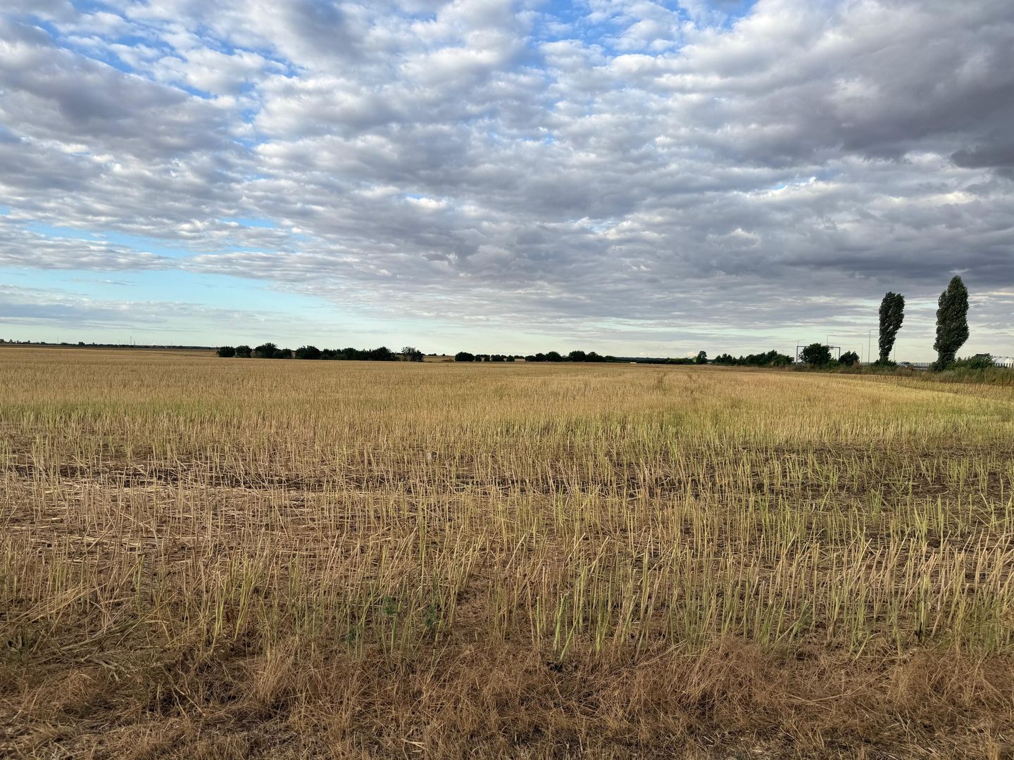 Teren intravilan Branesti - Poză 1