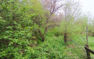 Gospodărie tradițională de vânzare în Poiana Sibiului – doar 25.000 Euro - Poză 7