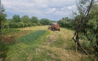 Casă locuibilă și service auto în comuna Deleni, 8 km de orașul Hârlău, 1600 mp teren - Poză 5