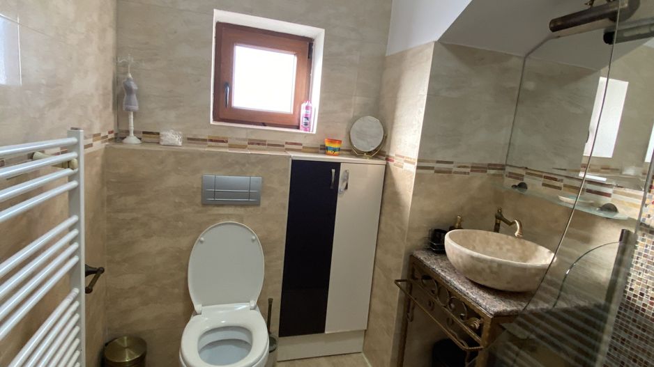 Cochet la intrare in Dumbravita - Poză 12