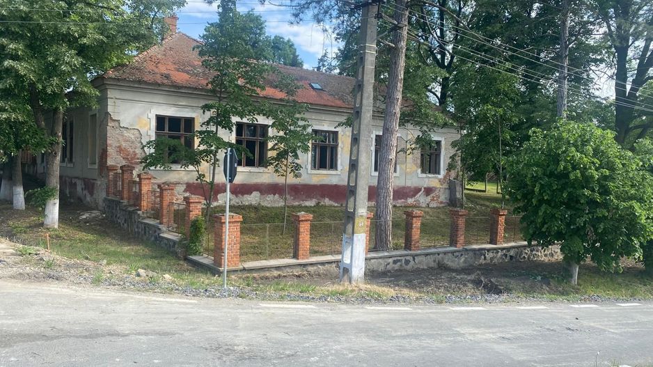 VILA DE VANZARE IN BALINT - Poză 1