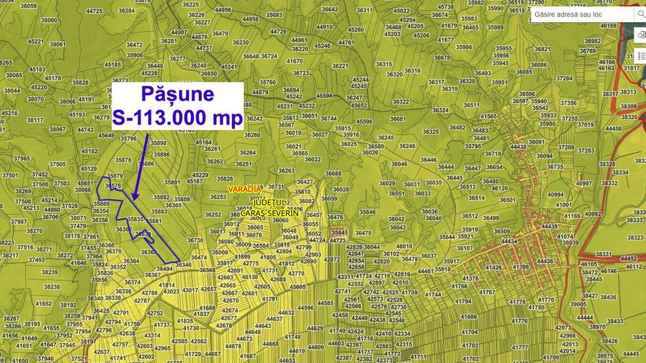 Pășune 11,3 ha – Vărădia, Caraș-Severin – 6.000 €/ha - Poză 2