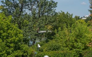 4 camere | Dante Alghieri | Primaverii | Lacul Bordei - Poză 26