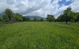 Teren intravilan de vânzare în Prundu Bargaului, Bistrița-Nasaud - Poză 6