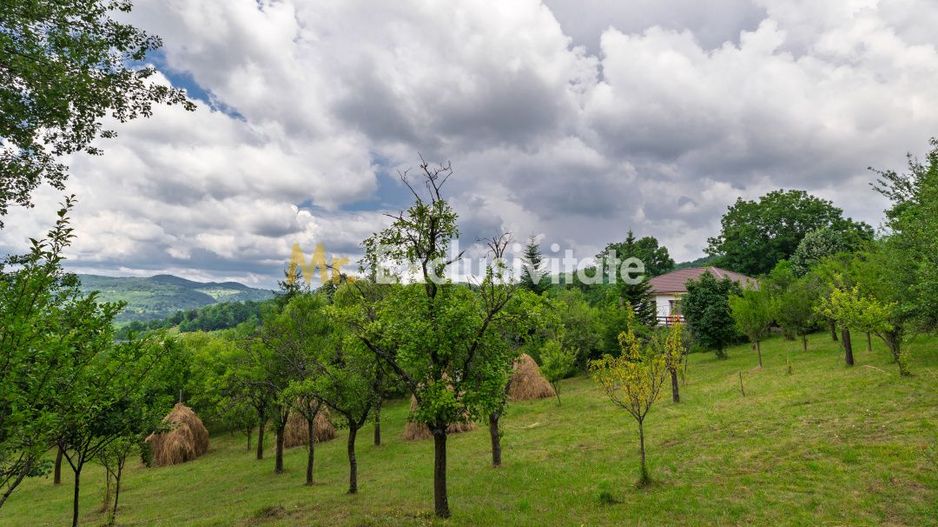 Casa moderna si casa bunicii + 6300 mp teren,Oaza autentica in Corbi Arges- - Poză 17