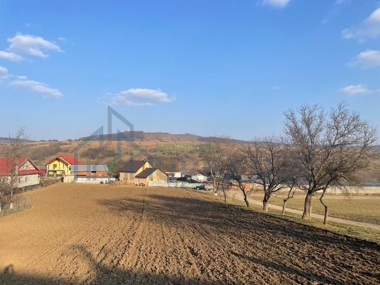 Casa Batraneasca 100 MP + teren intravilan 400 MP, 4500 MP extravilan - Poză 13