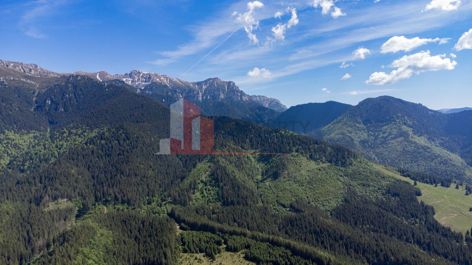 Teren la munte - 3.851 mp Bran - Poză 13
