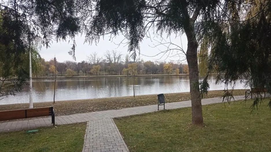 Închiriere apartament decomandat 2 camere McDonald's Colentina, parc Plumbuita - Poză 5