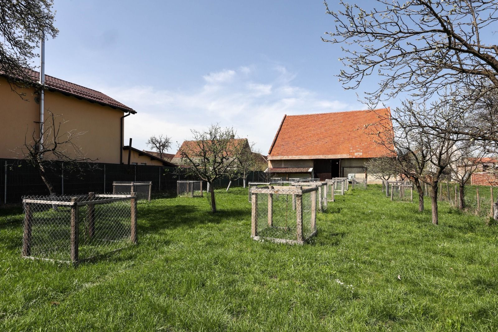 Casă Săsească Autentică cu Șură Impresionantă în Cristian – Teren 2729mp - Poză 10