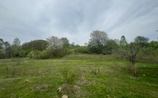 TEREN EXTRAVILAN 40000 MP, ALBESTI DE MUSCEL, CANDESTI - Poză 5