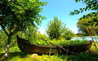 Oportunitate de investitie| Delta Dunarii |Mila 23| pensiune activa - Poză 5