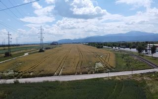 Teren Industrial Codlea | 22.500mp Necesar PUZ - Poză 6