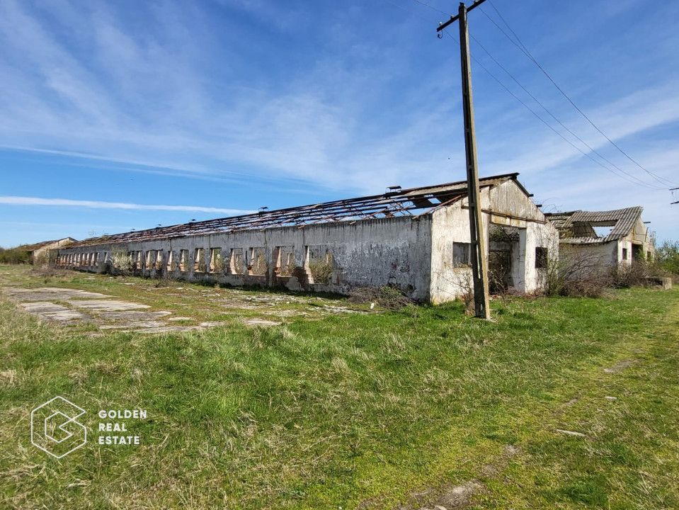Teren extravilan, 22.5 ha, comuna Maureni - Poză 5