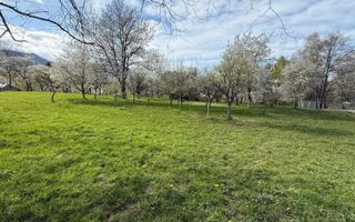 Teren intravilan 763 mp in zona Bran-Tohanita - Poză 3