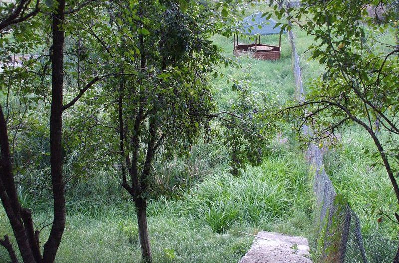 Casa de vanzare Albestii-Arges - Poză 34