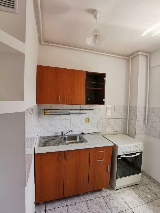 Garsonieră spațioasă de 50 mp, ultracentrală, renovată, Bd. Unirii - Poză 6