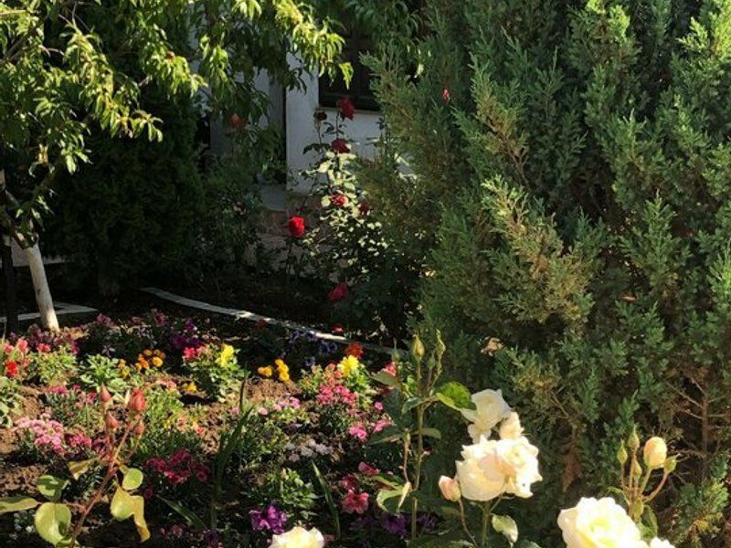 Vila - parter + mansarda -   Sendreni,  jud. Galati - Poză 6