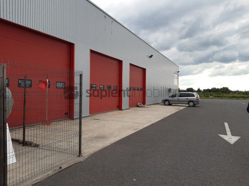 Sapient | Centru logistic lângă Oradea - Poză 5