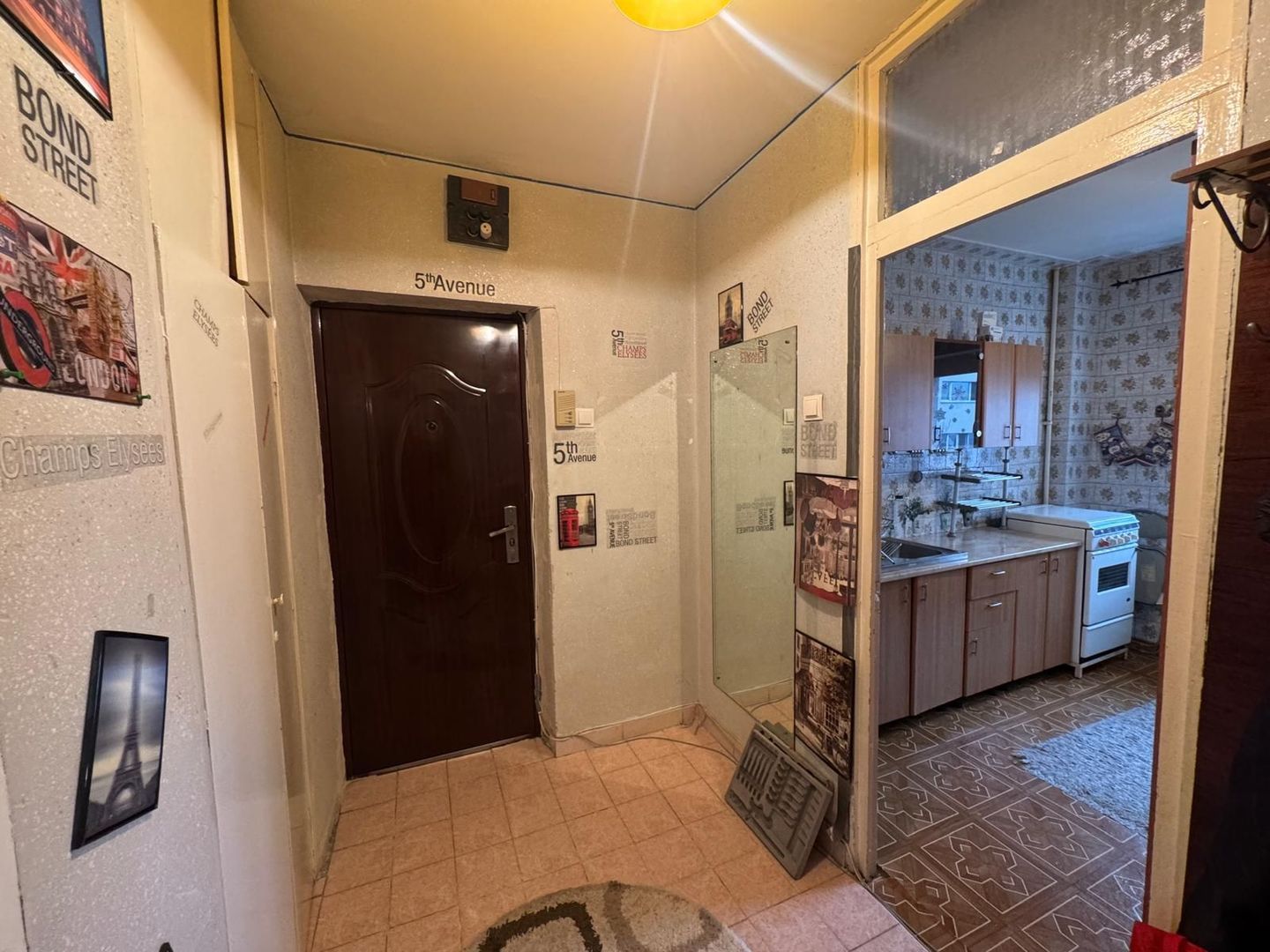 2 Camere Campia Libertatii Pet friendly - Poză 12