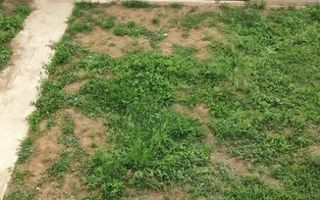 Casa tip duplex Horpaz Miroslava - Poză 8