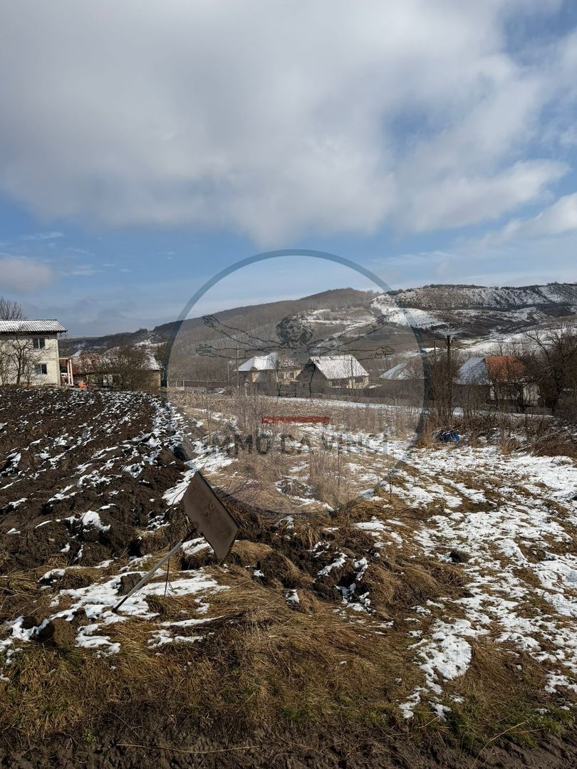 Vanzare teren itravilan Sanmartin,com. Chinteni CJ - Poză 5