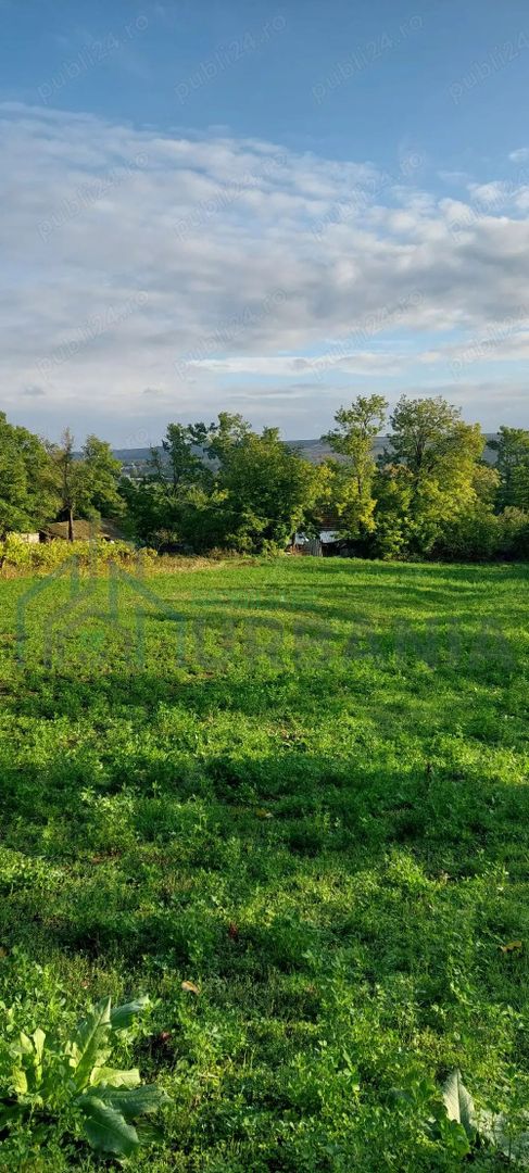 casa batraneasca de vanzare - Poză 5