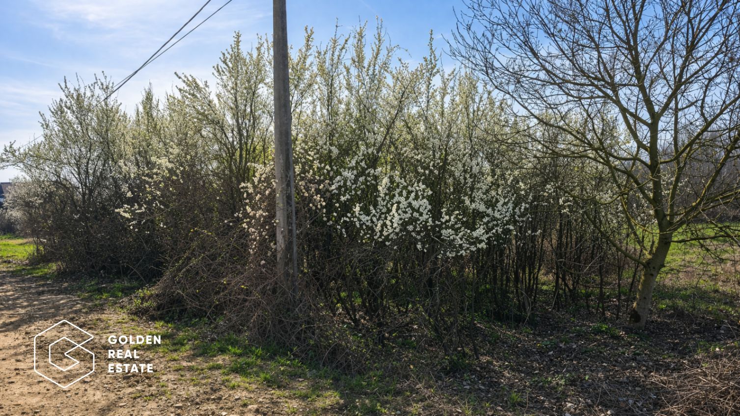 Teren intravilan, 1080 mp, Lipova - Poză 3