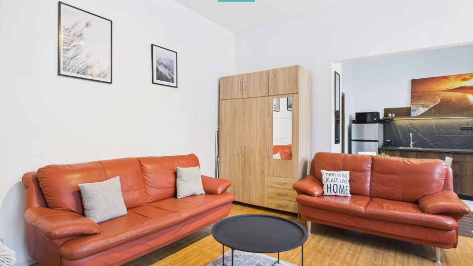 Apartament cozy cu o cameră, zona centrală - Poză 10