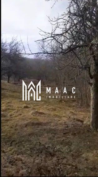 Teren | Rășinari | Trainei | 3139 Mp | - Poză 3