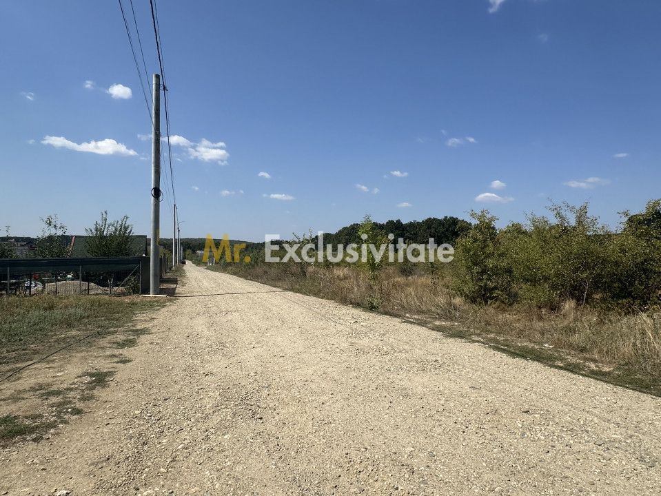 Teren zona Magic Trivale intravilan 1040 mp - Poză 4